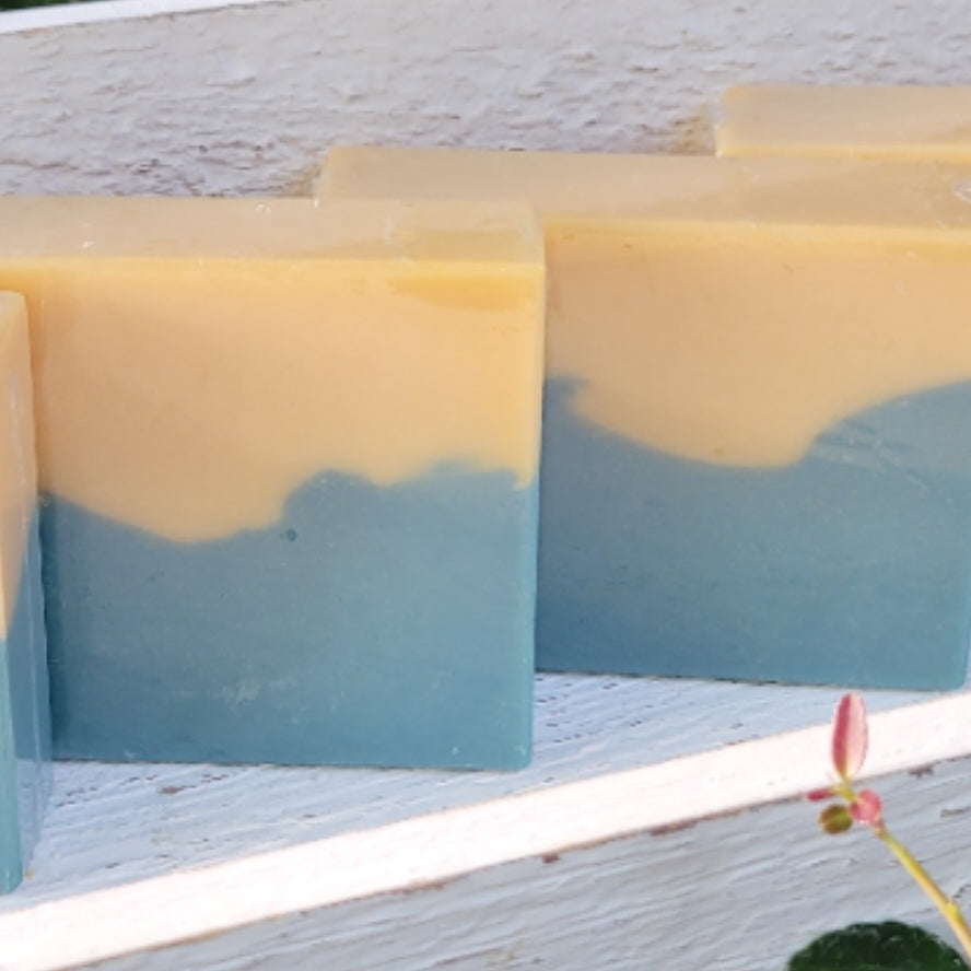 Sage and Citrus soap
