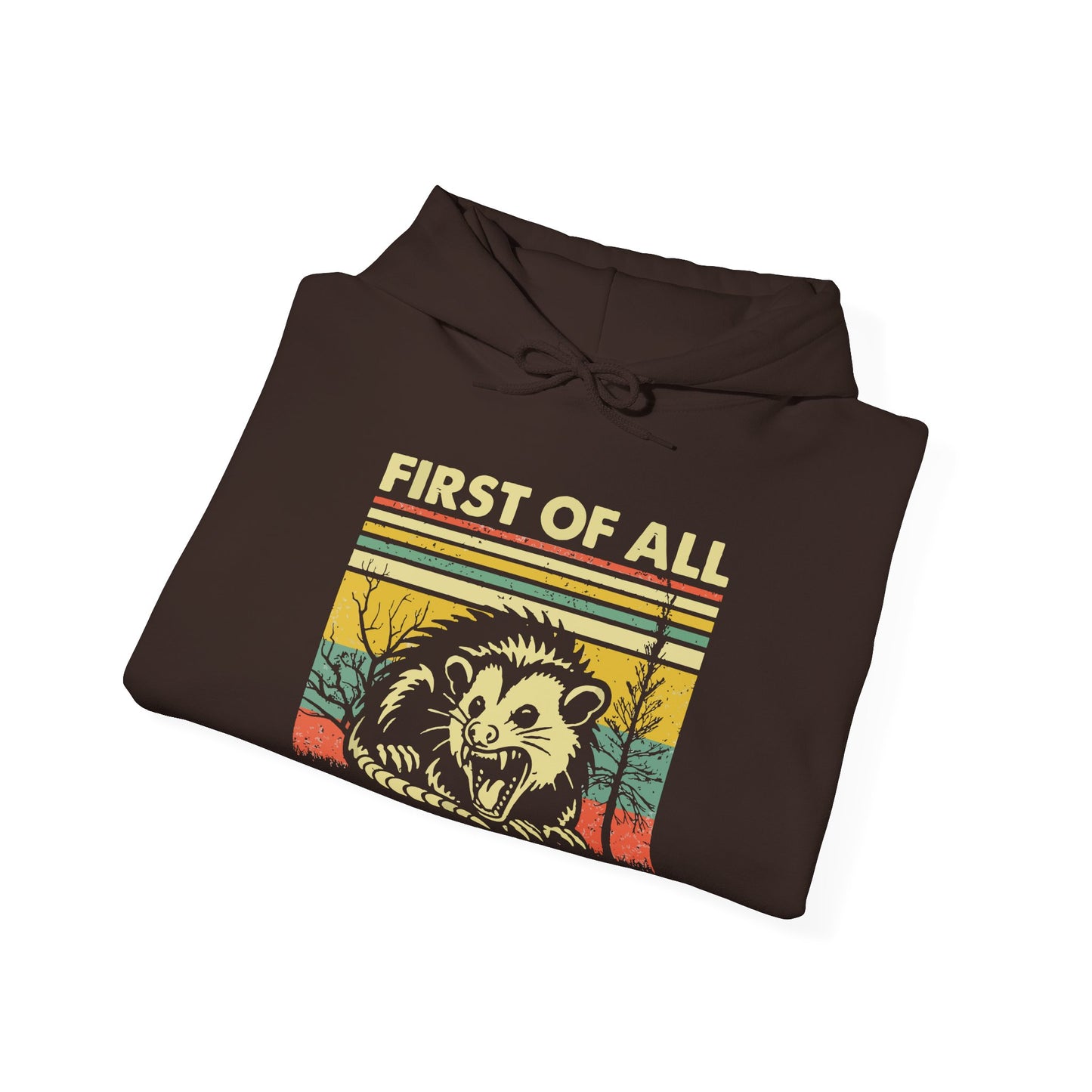 Funny Possum Hoodie — "First of All, I'm a Delight" Graphic Sweatshirt