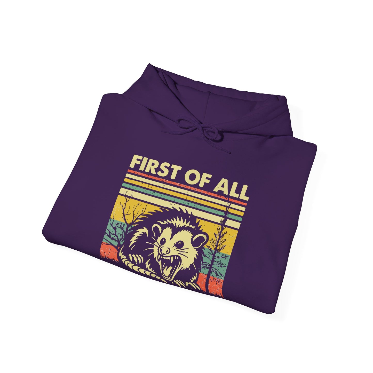 Funny Possum Hoodie — "First of All, I'm a Delight" Graphic Sweatshirt
