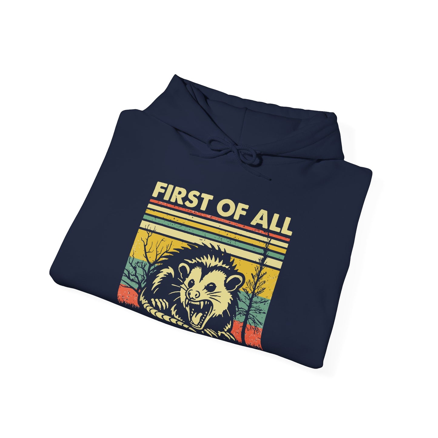 Funny Possum Hoodie — "First of All, I'm a Delight" Graphic Sweatshirt