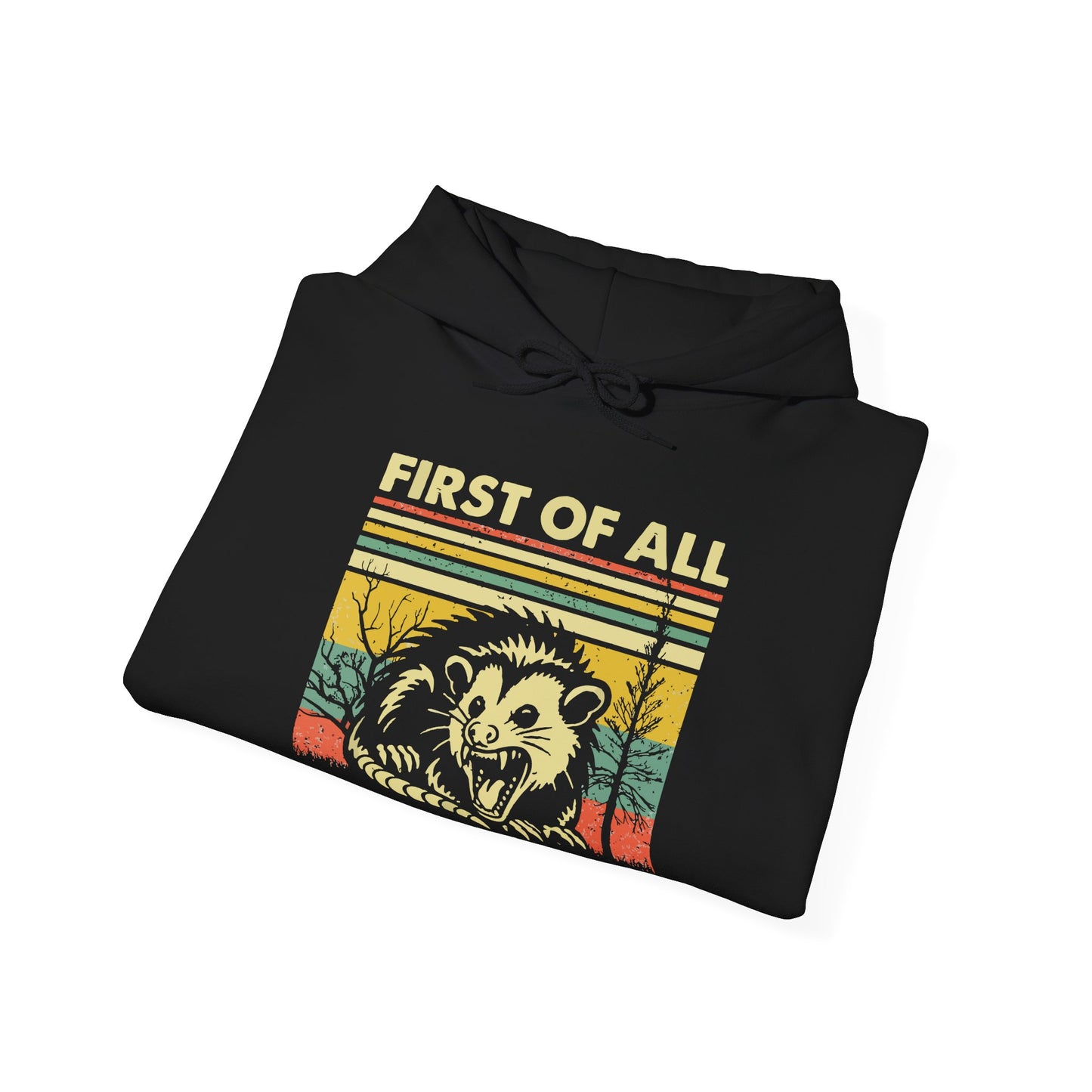 Funny Possum Hoodie — "First of All, I'm a Delight" Graphic Sweatshirt