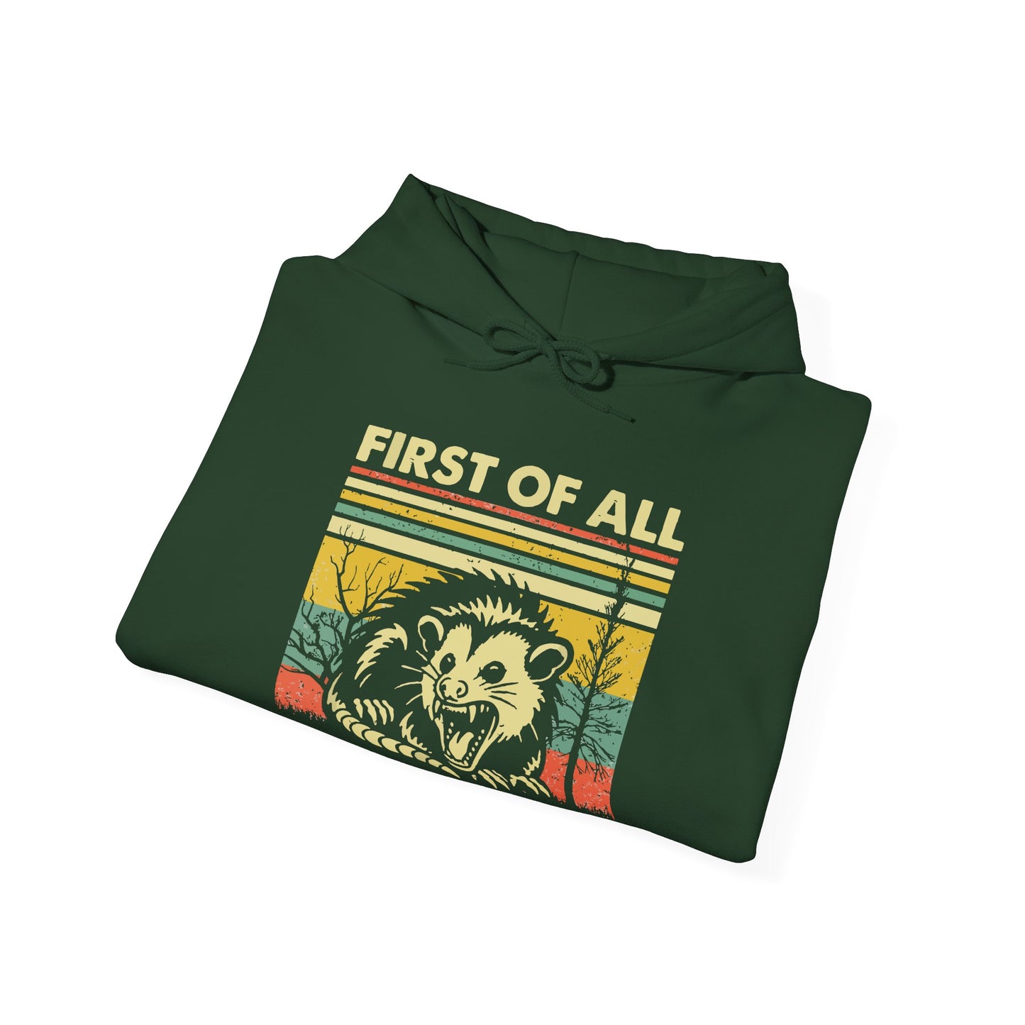 Funny Possum Hoodie — "First of All, I'm a Delight" Graphic Sweatshirt